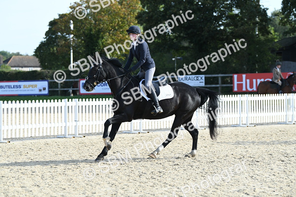 SBM_60571 - j25 - Junior Horse 80cm Championship