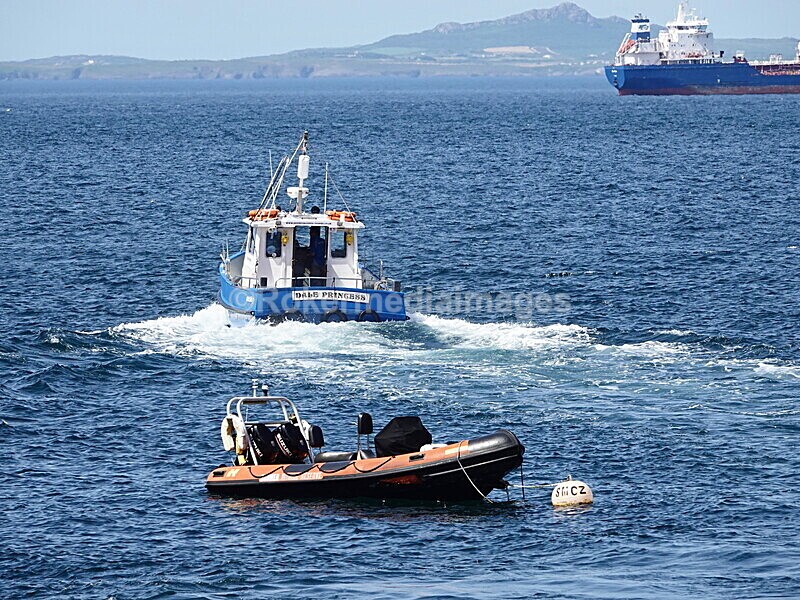 DSC00435 - Skomer 2019