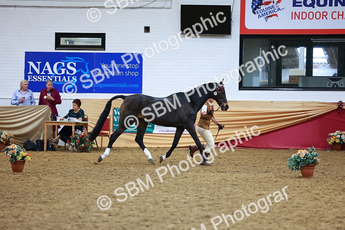 SBM_16163 - Class 901 - Sup Final - IH Diamond