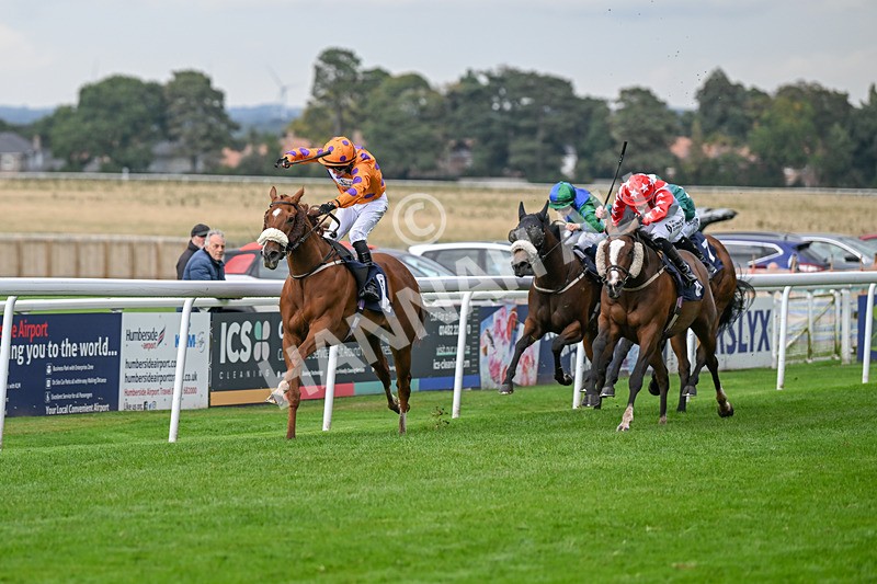 240924-Race 5-Ifonlytheycudtalk-6466 - Race 5