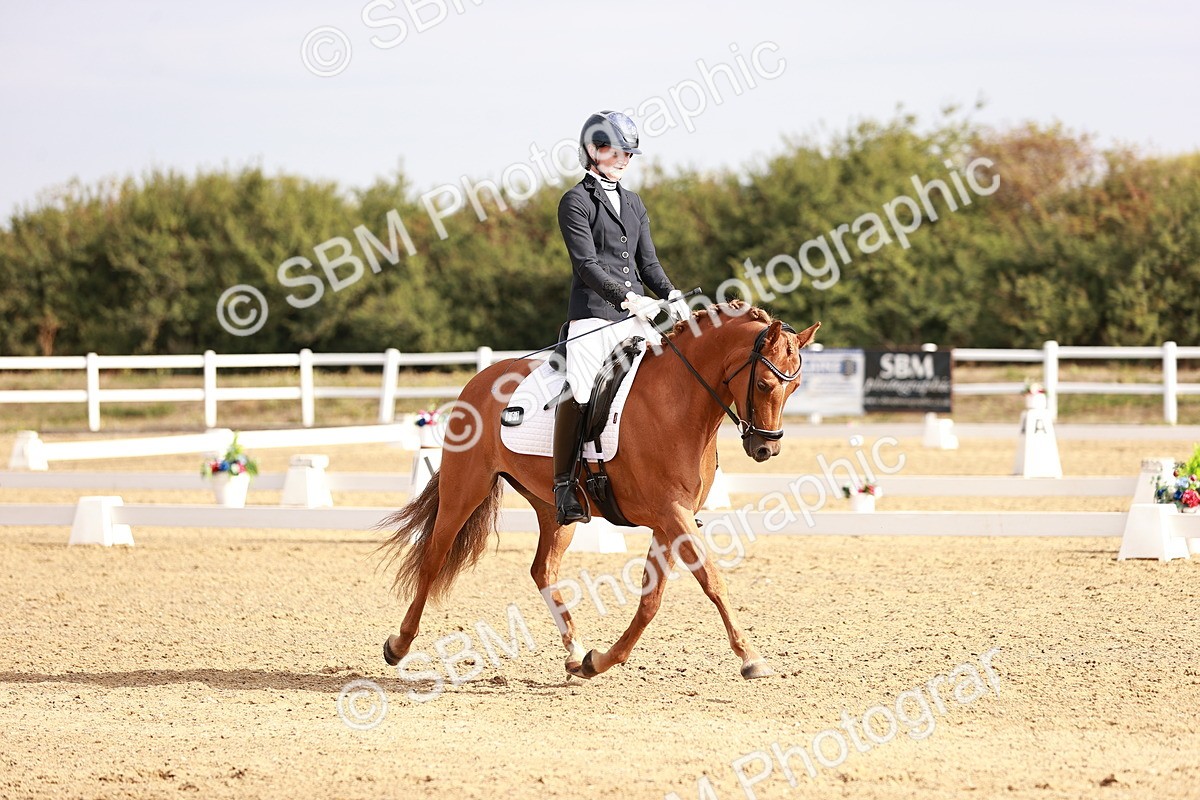 SBM_016916 - Class 10 - Medium 6