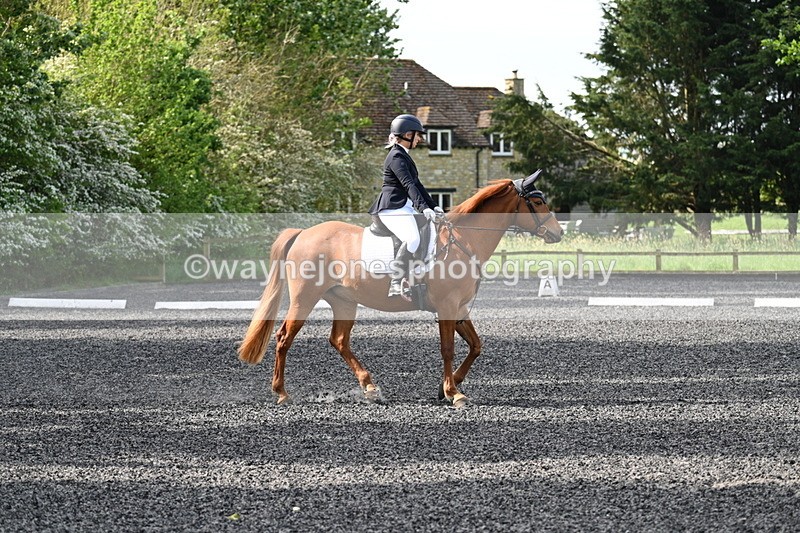 WJ7_7903 - Time 10:11 to 10:27