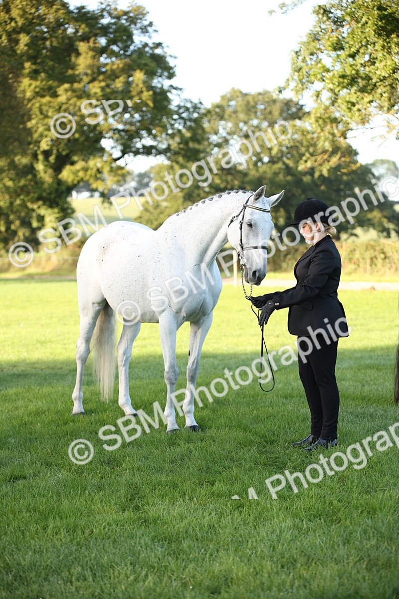 SBM_32323 - S8 - Best Turned Out