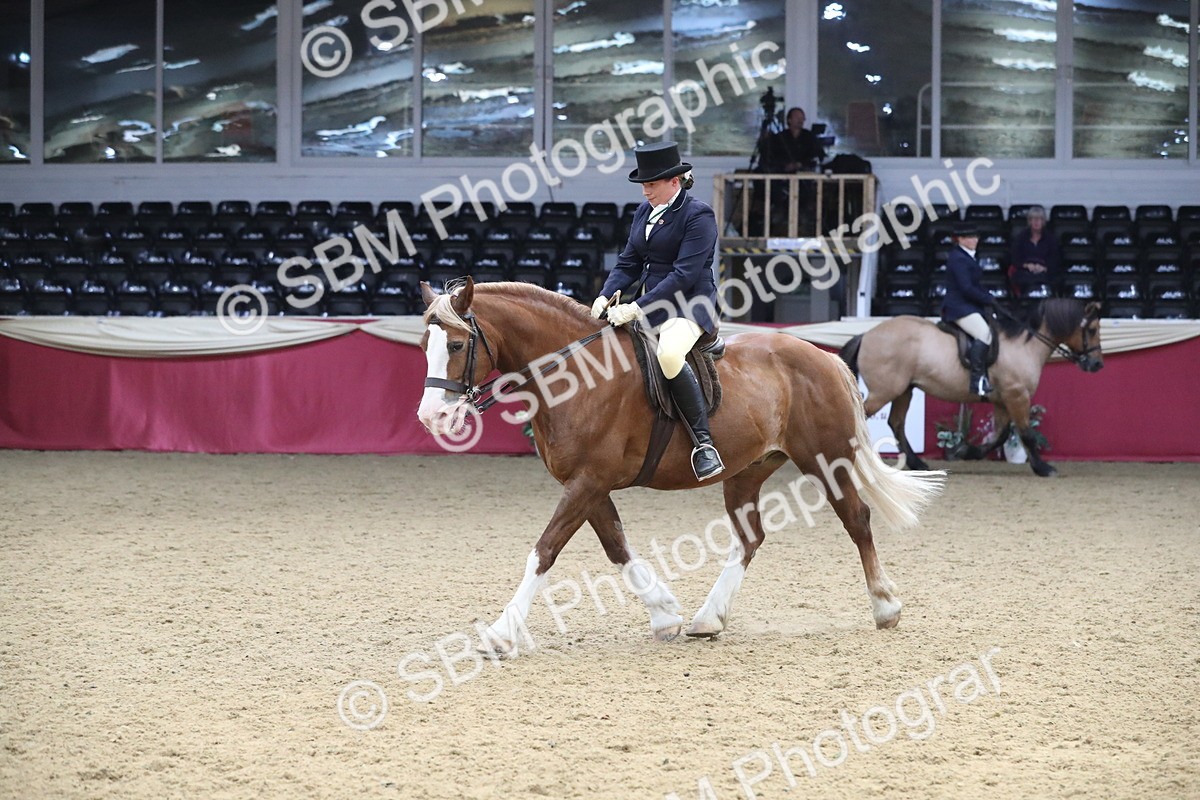 SBM_16355 - Class 502 M&M Ridden Supreme Final