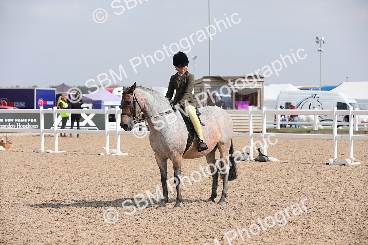 SBM_14751 - Class 310 First Ridden Pony