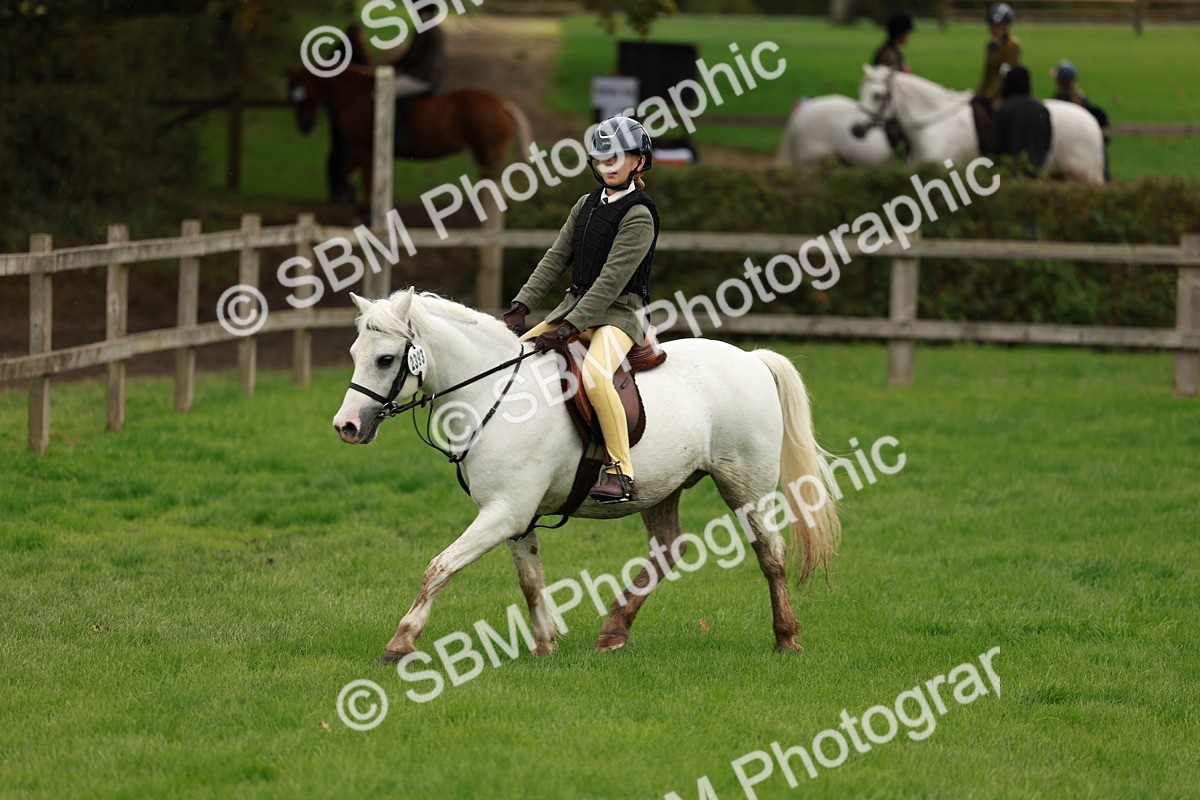 SBM_41801 - S32 - Mountain & Moorland Working Hunter Pony