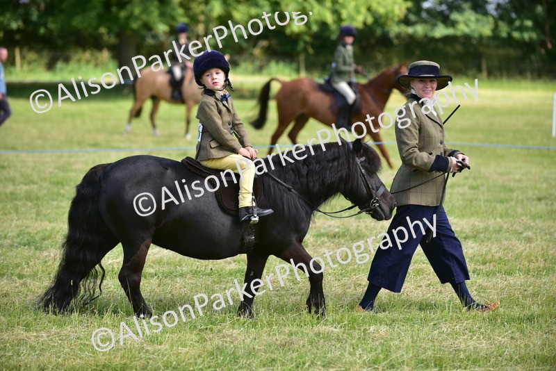 20260614-1135 - Class 11a - Lead Rein Pony (Unplaited)