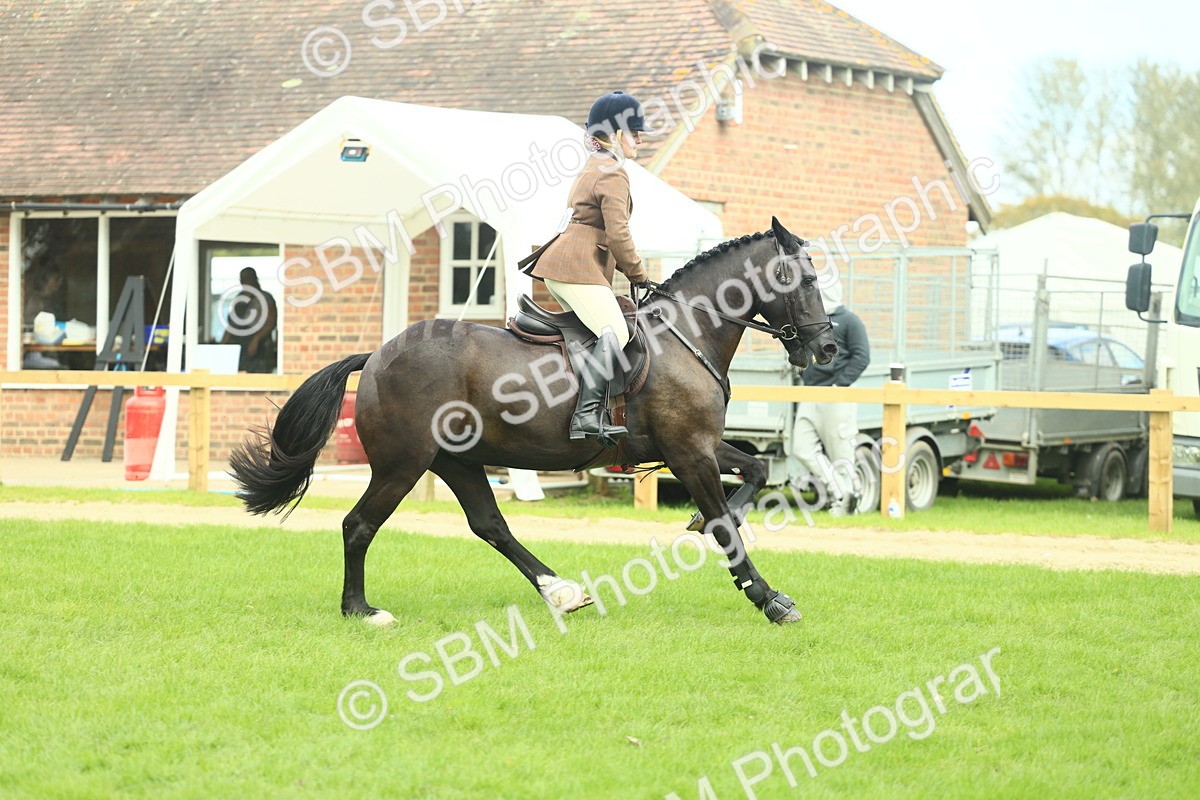 SBM_44767 - S31 - Working Hunter Pony