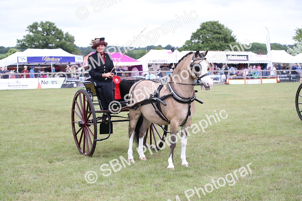 SBM_05866 - Class 12-15 - HOYS Private Driving