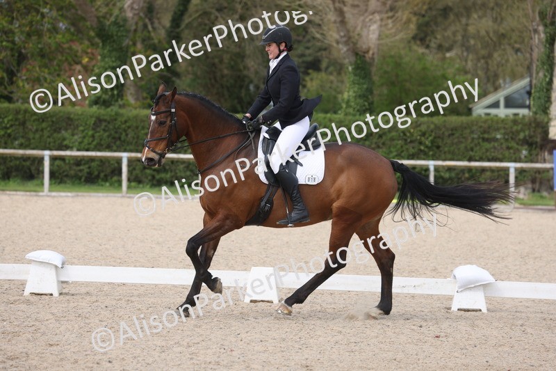 20260404-0840 - Class 5 - Novice 2