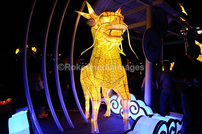 VIET_0598 - Vietnam 2017