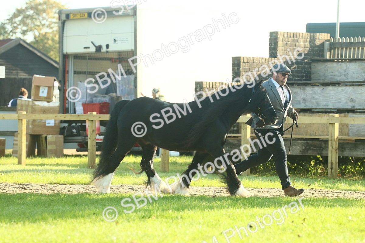 SBM_58531 - S37 - Starters In Hand Showing