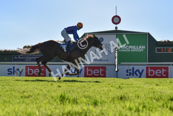 yr12062021r7-38 - Race 7 5.25pm Sky Bet Stakes