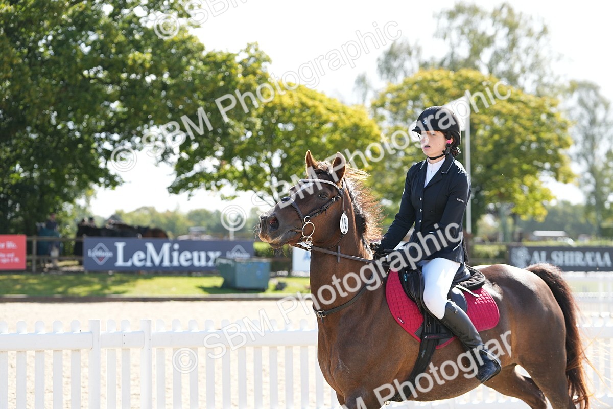 SBM_38451 - J6 - Junior Pony 55cm Championship
