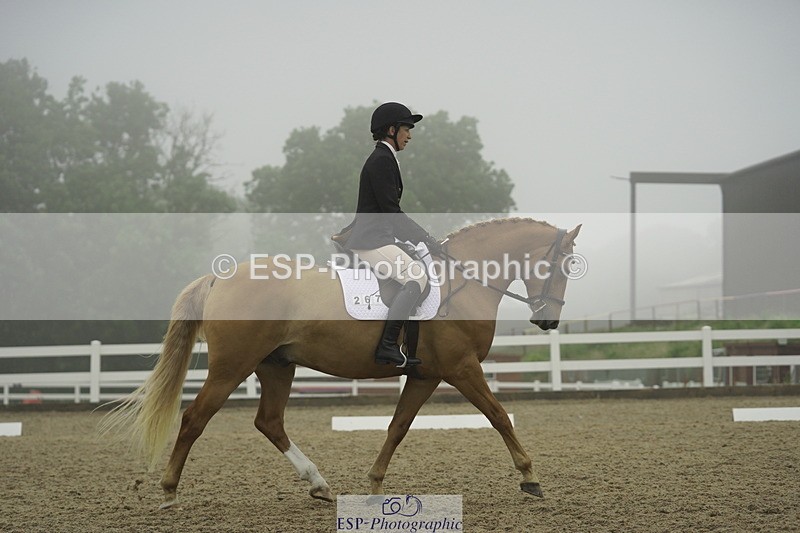 230708A-145942-03953 - Prelim 18