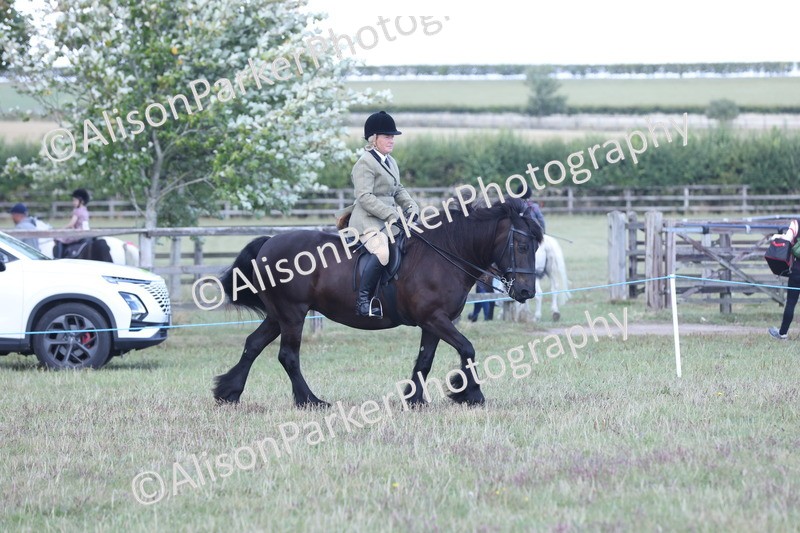 20250831-2895 - Class 19 - Mountain and Moorland