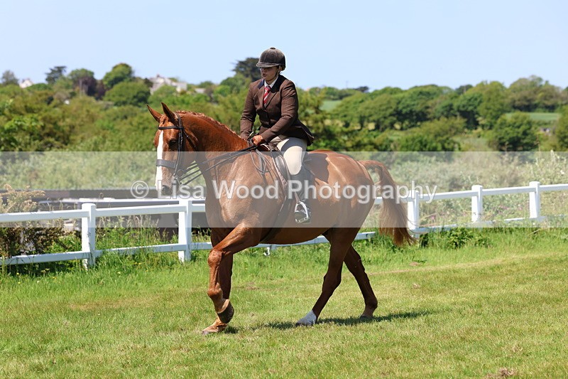 3E7A8361 - Class 13: Ridden Hunter