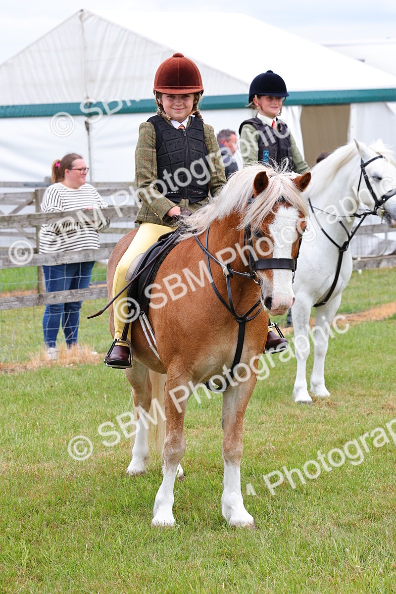 SBM_08808 - Class 42-43 - LIHS BSPS Heritage Working Sports Pony