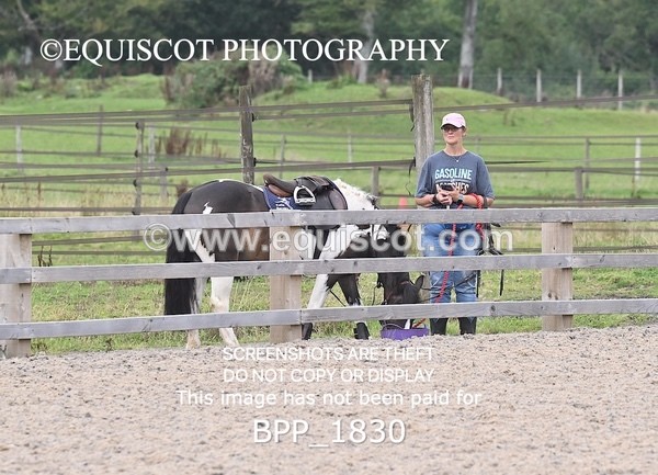 BPP_1830 - CLASS 13 Stepping Stones 128/ 138cms Handicap