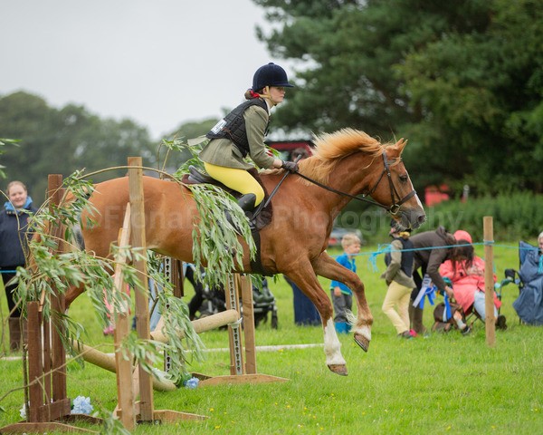 Dunblane show-465 - Dunblane and Doune Show Ring 1