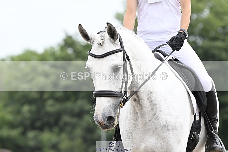 250621-114503-07754 - Cls 27 - Novice 6, Start to 12.20