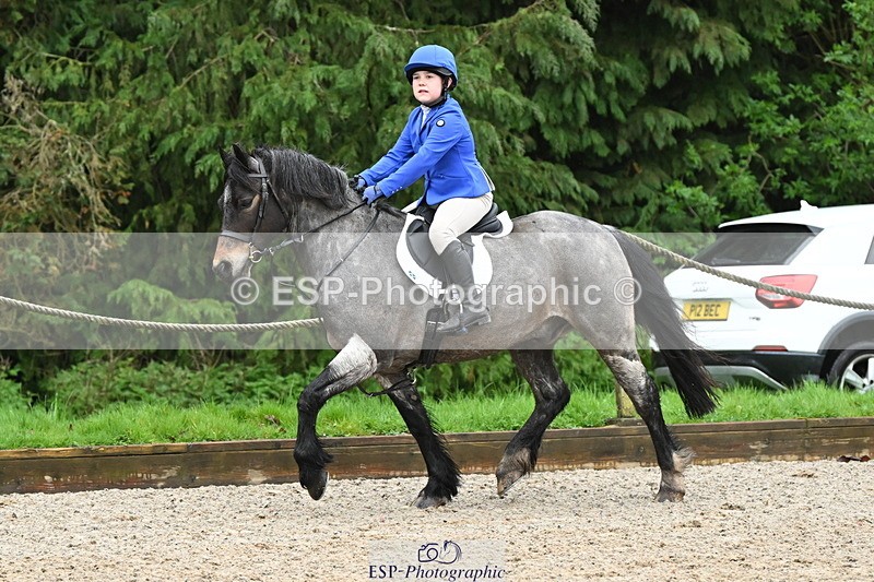 250418A-084716-00124 - NSEA GR 60cm