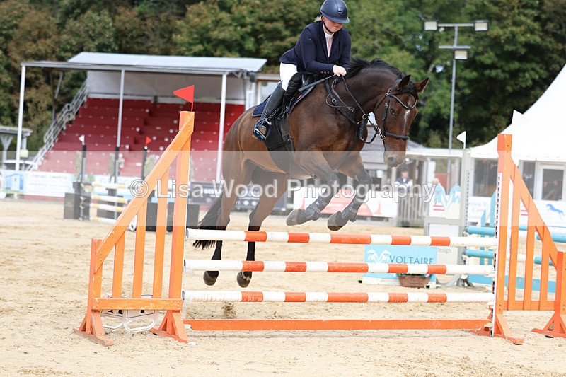 3E7A2290 - Class 4: Senior British Novice/90cm open