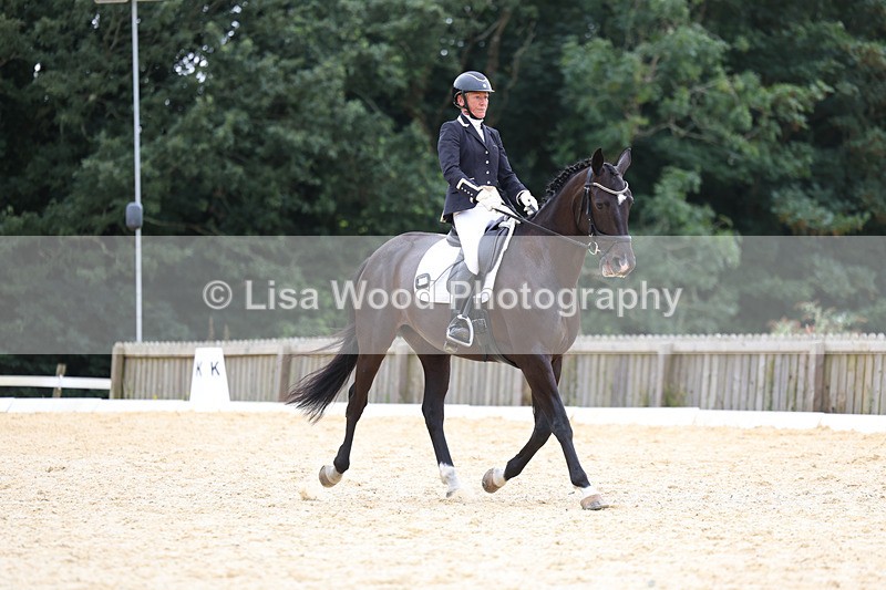 3E7A7251 - Class 9: Elementary 4 2024 - No sections