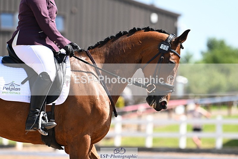 240621A-104110-01853 - Cls 2 BD Prelim 19