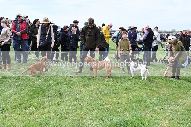 WJ6_8211 - Class 4 Prettiest Bitch