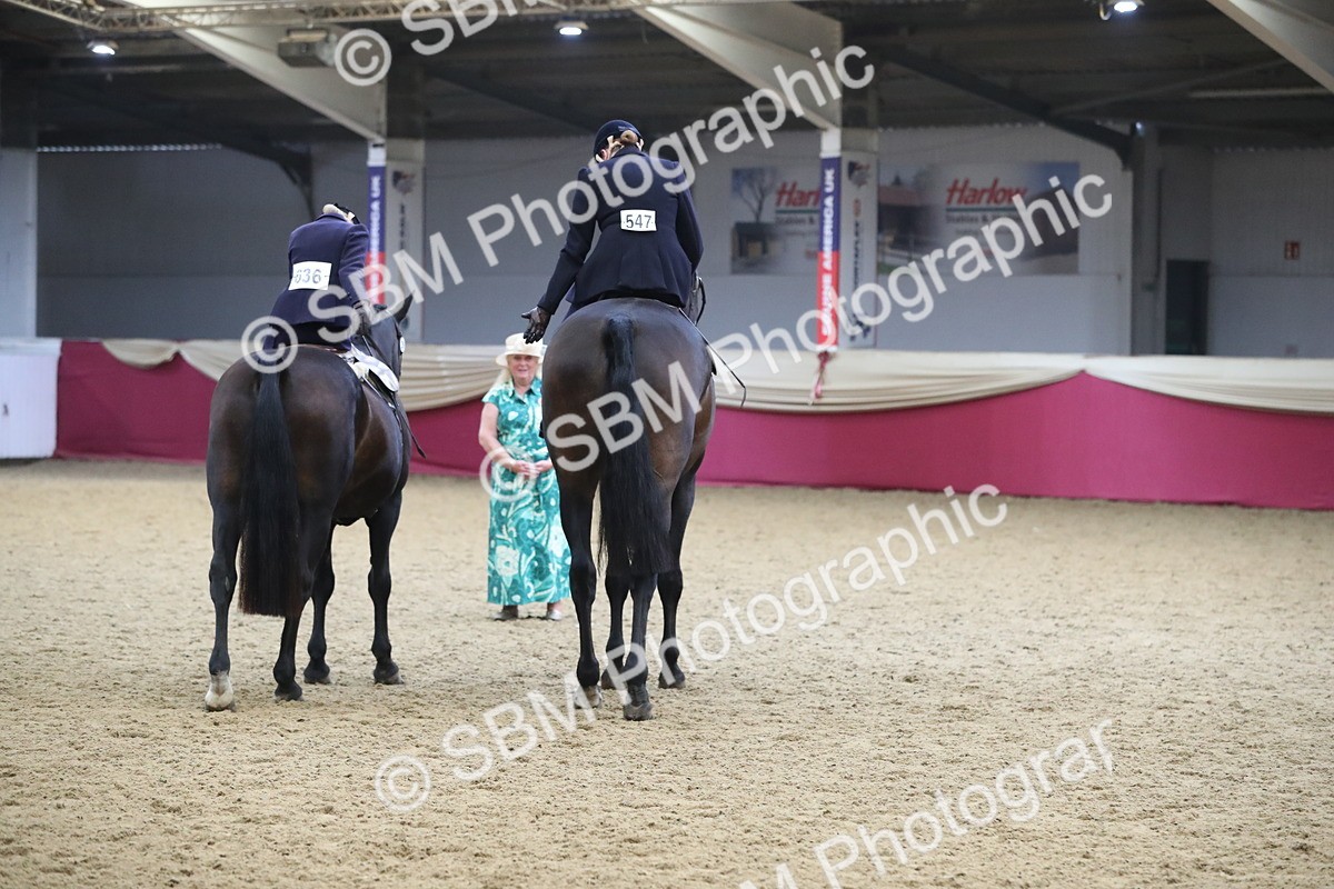 SBM_13083 - Class 109 Ridden Pairs- Section A