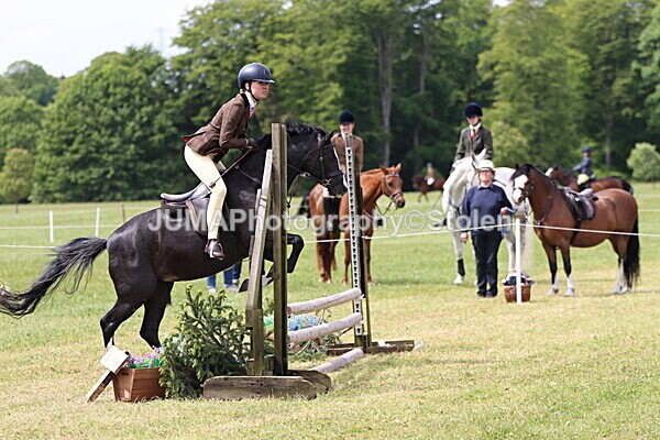 IMG_3187 - Working Hunter