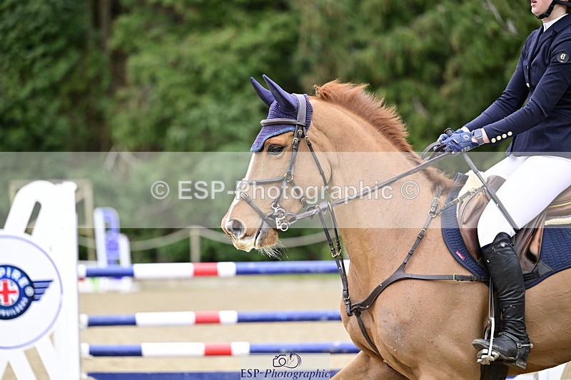 260214A-164017-01480 - 6 Foxhunter and 1m 20 Open
