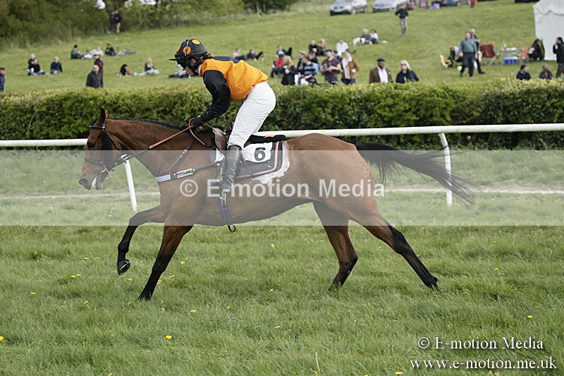 PtP 170417 388 - Old Berks Point-to-Point Lockinge 17/04/17