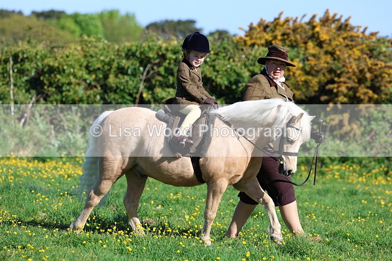 3E7A8493 - Class 2: Lead rein