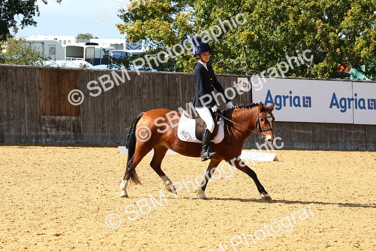 SBM_23580 - D5 - Small Tour Championshop Intro 2