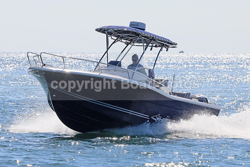 170813 WHITE SHARK SSR160540 1Y3A2851 - RIBs, Tenders, Dories, Dinghies