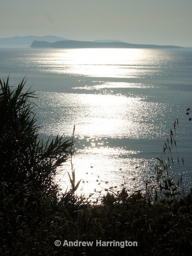sea of diamonds - Photos 1