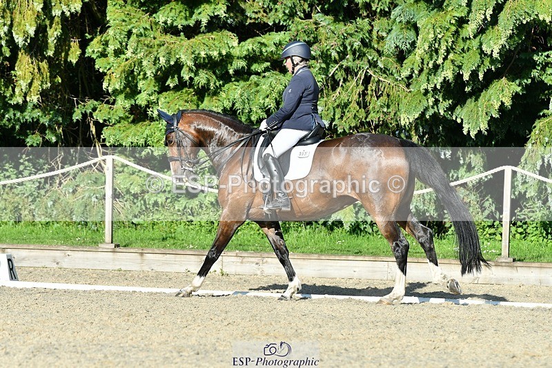 230623-182347-01725 - Cls 8 Medium 73Q