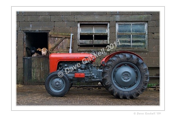  - Massey Ferguson