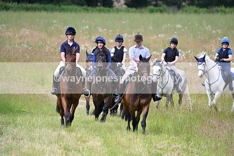 WJ6_7861 - Camera 1 Gallops