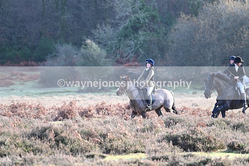 WJ7_7906 - Line 3 (no line 4 or 5)