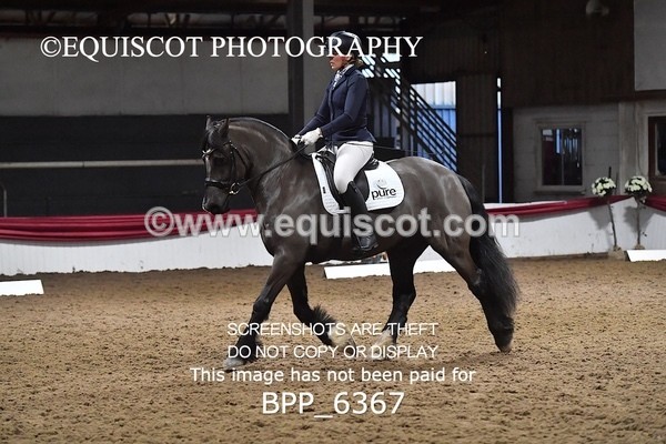 BPP_6367 - 37 Ellis Simister