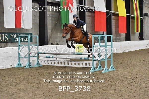 BPP_3738 - FRI CLASS 21 BR NOVICE/90CM