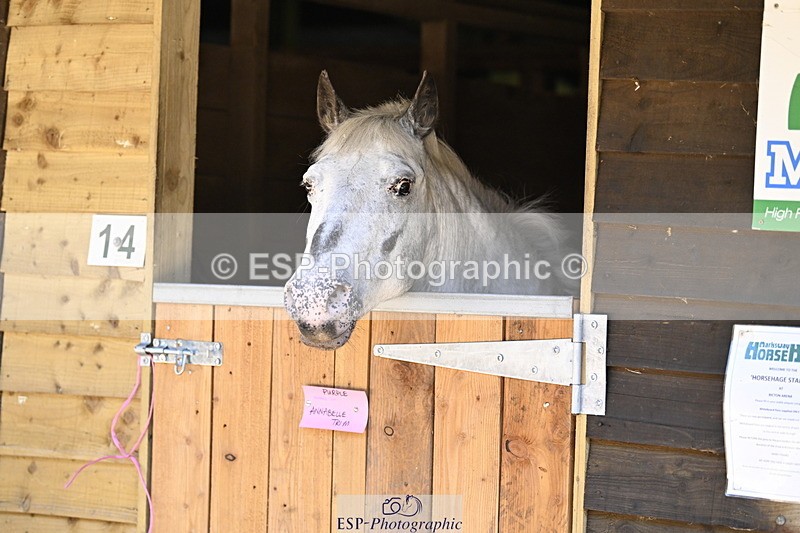 240728B-092341-00009 - Sunday Stable Shots and Fancy Dress