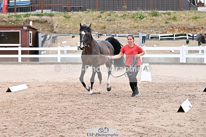 250716-134119-00630 - Trot Up 1.30 to 2.30