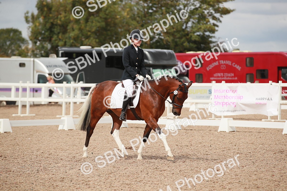 SBM_05913 - Class 32 - Novice 1