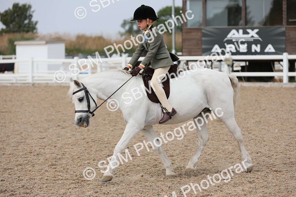 SBM_16926 - Class 314 Family Horse/Pony