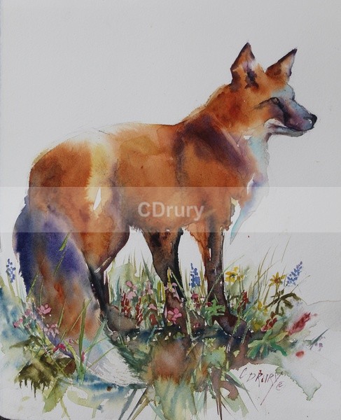 Outfoxed - AVAILABLE PRINTS and Notecards