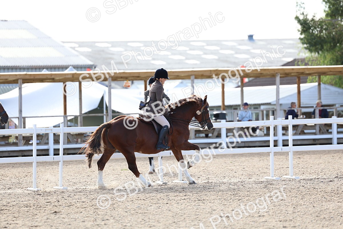 SBM_16764 - Class 802 - Ridden Groom - Helpers Class